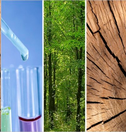 Oberta la convocatòria del Premi Medi Ambient 2019