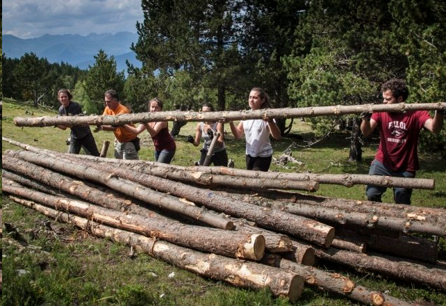 Participa al “Projecte Boscos de Muntanya”