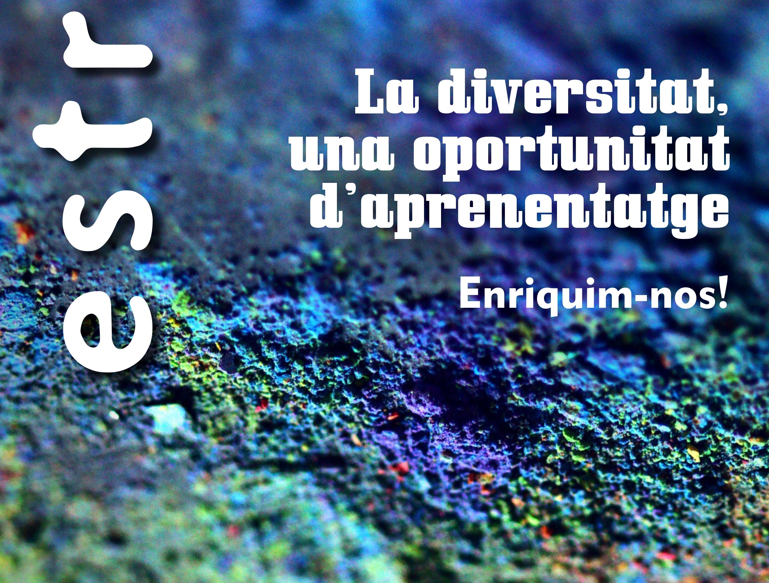Estris 250: Parlem de diversitat