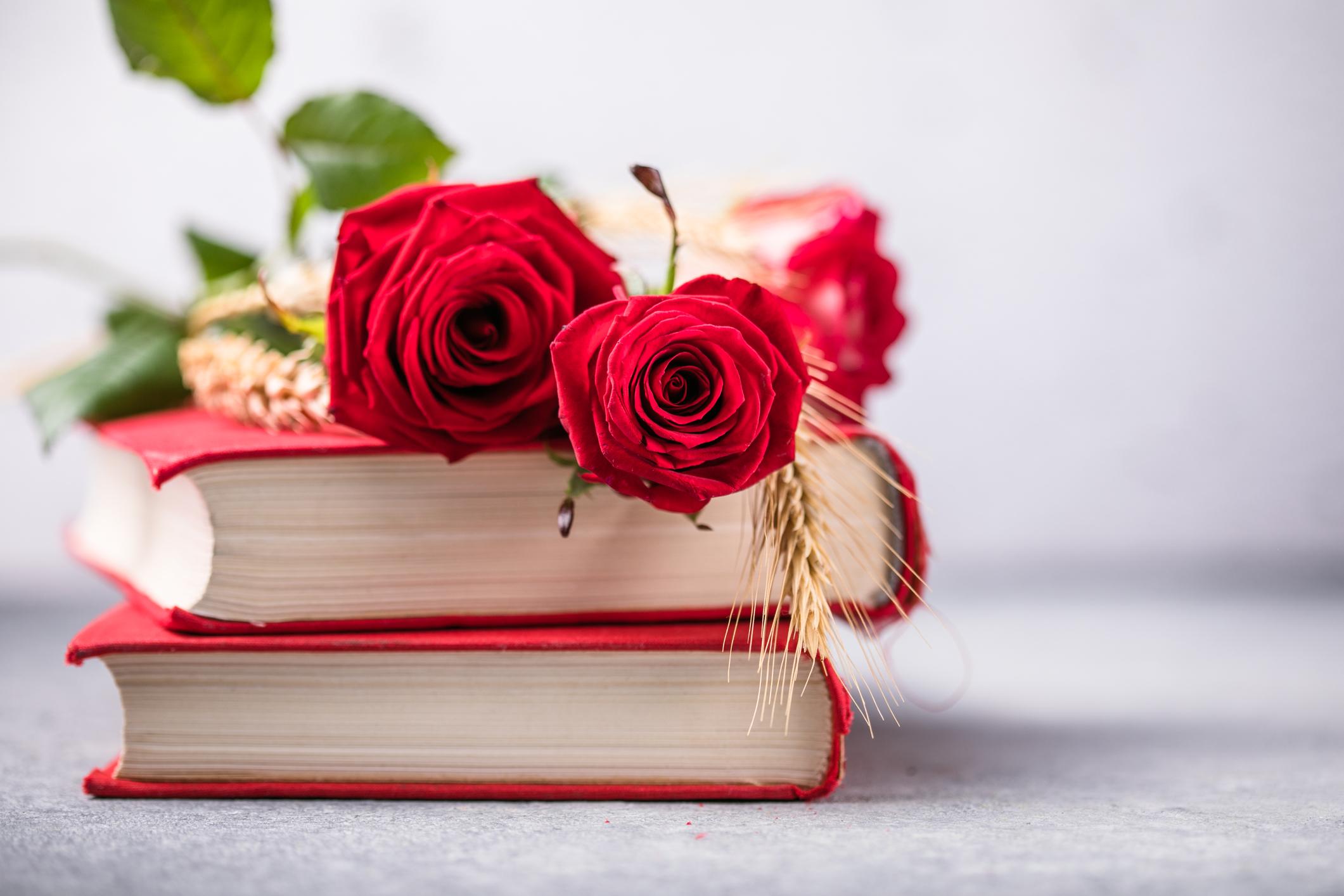 Les altres princeses de Sant Jordi: recomanacions que capgiren la història